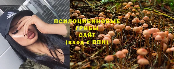 прущие крисы Арсеньев