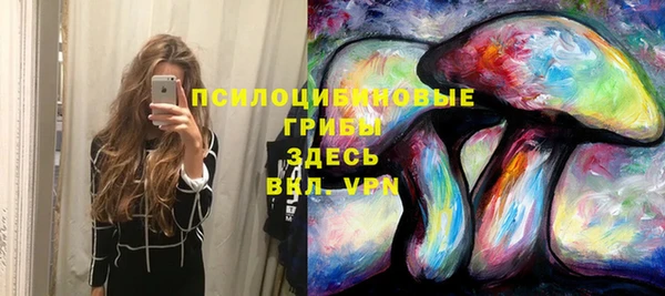 прущие крисы Арсеньев